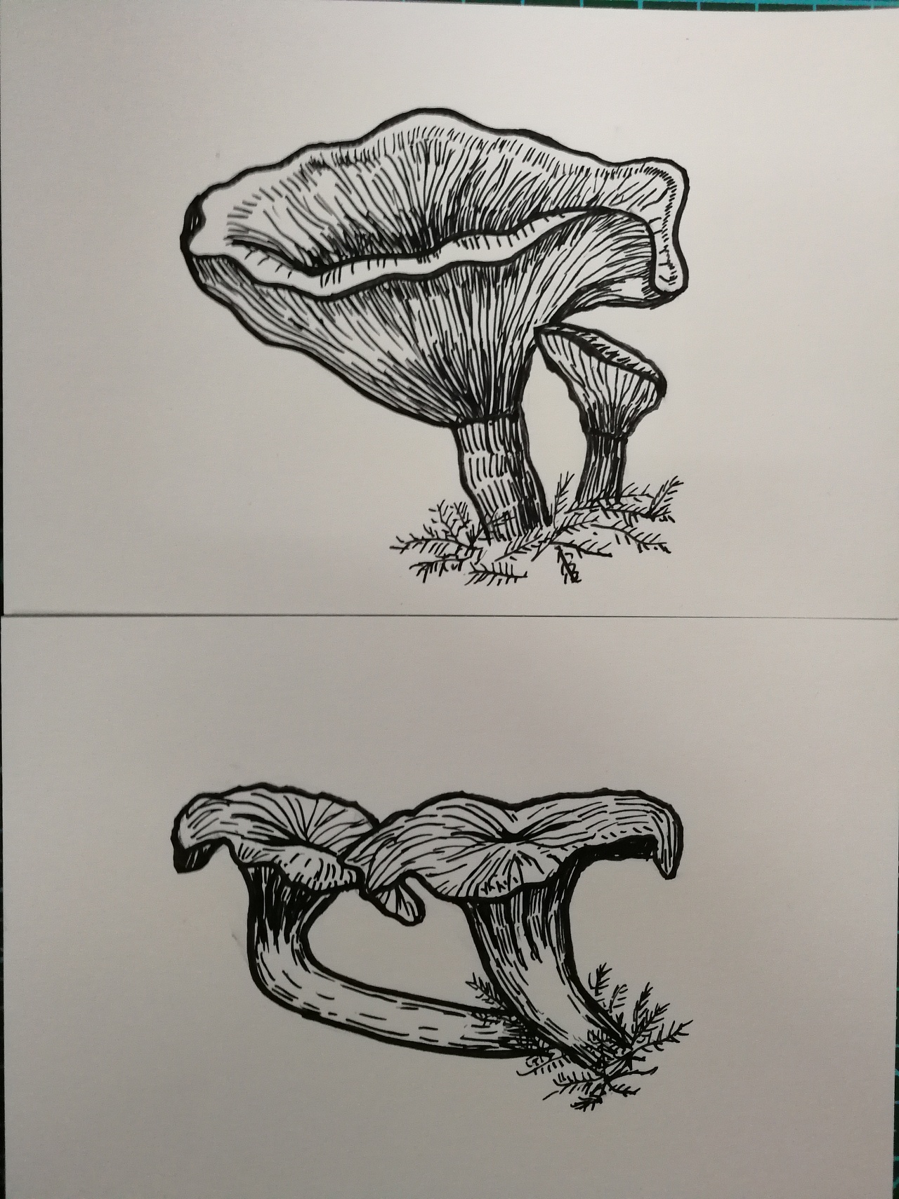 可爱的蘑菇头|插画|创作习作|灵灿 - 临摹作品 - 站酷 (ZCOOL)
