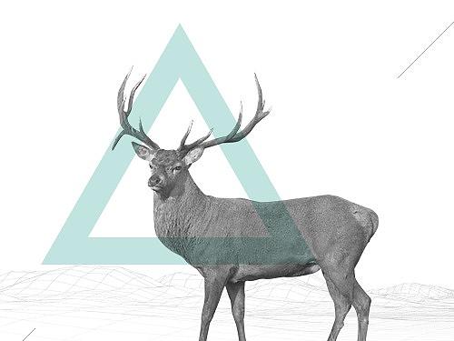 长安CS75长图/海报demo