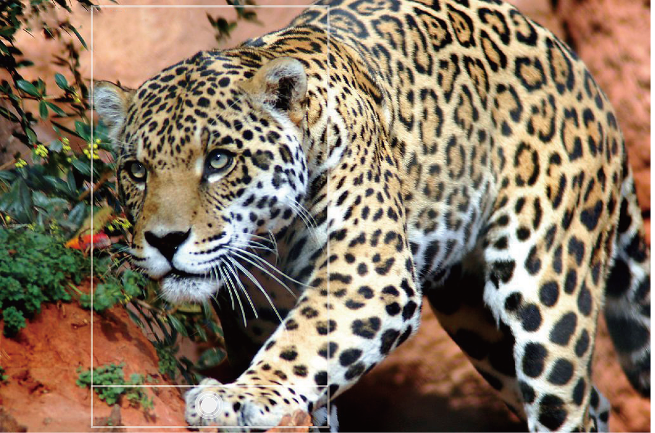 更大视野  突破边界