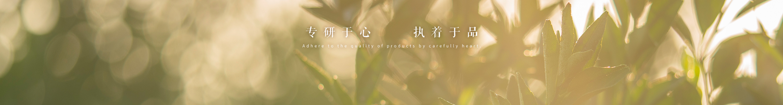 蒼絔的個人主頁（封面預(yù)覽） - 主頁封面設(shè)置 - 站酷設(shè)計師蒼絔原創(chuàng)素材 - 站酷ZCOOL