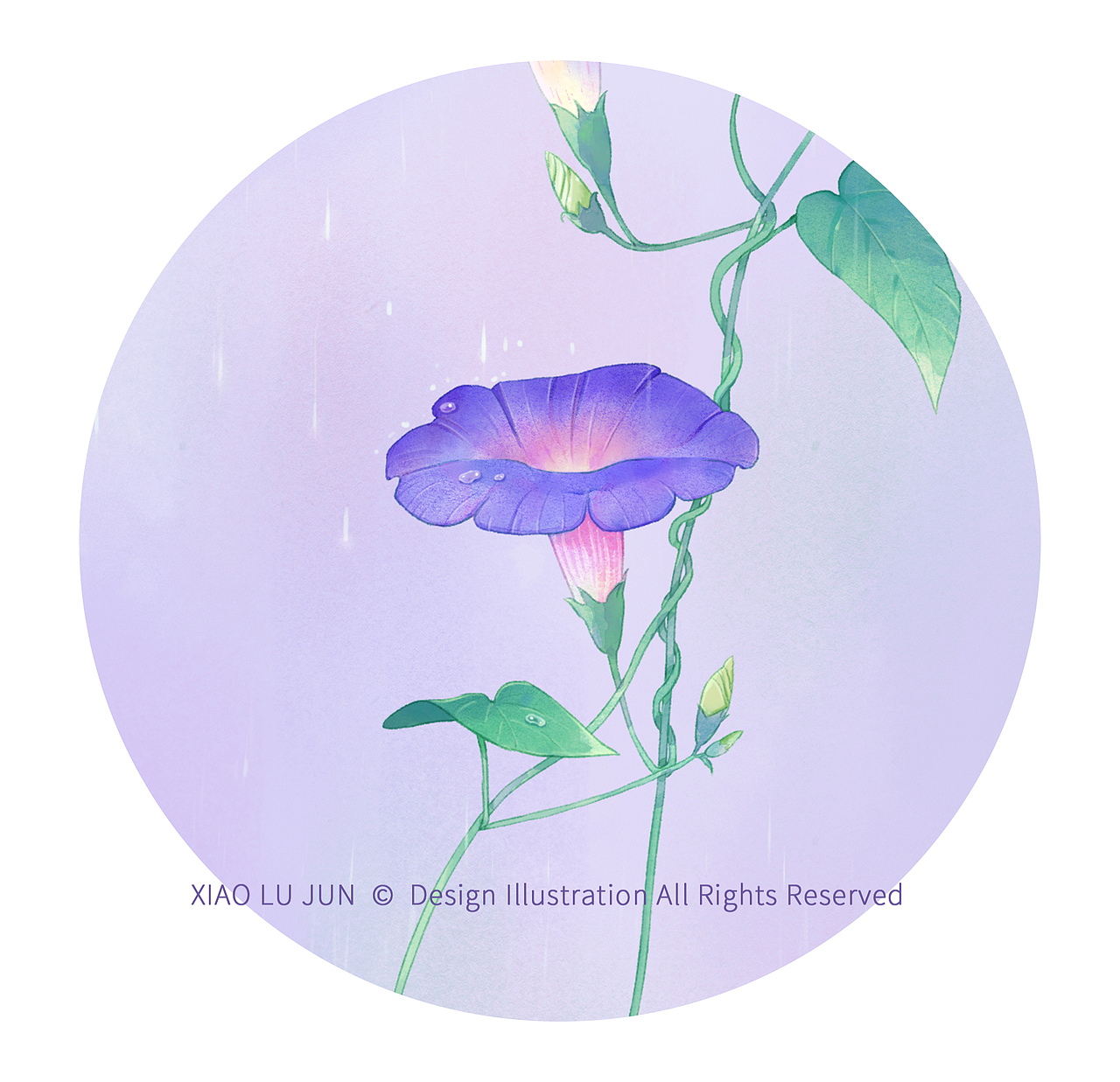 夏花系列10张（图ZMjE1NzMyOTM2） - 商业插画 - 站酷设计师拾荒小鹿菌原创素材 - 站酷ZCOOL