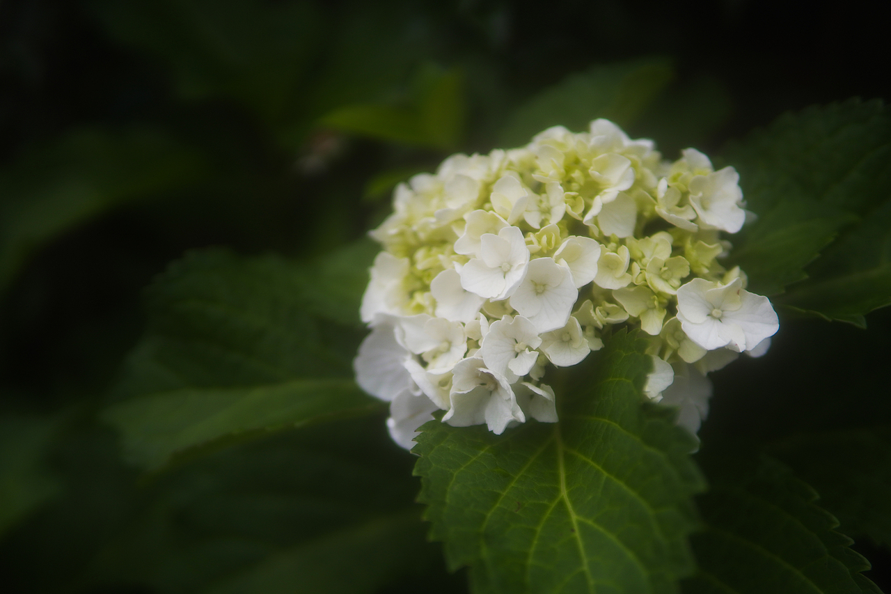 花路（图ZMjEzNjczMTY0） - 产品摄影 - 站酷设计师DAYBREAK工作室原创素材 - 站酷ZCOOL