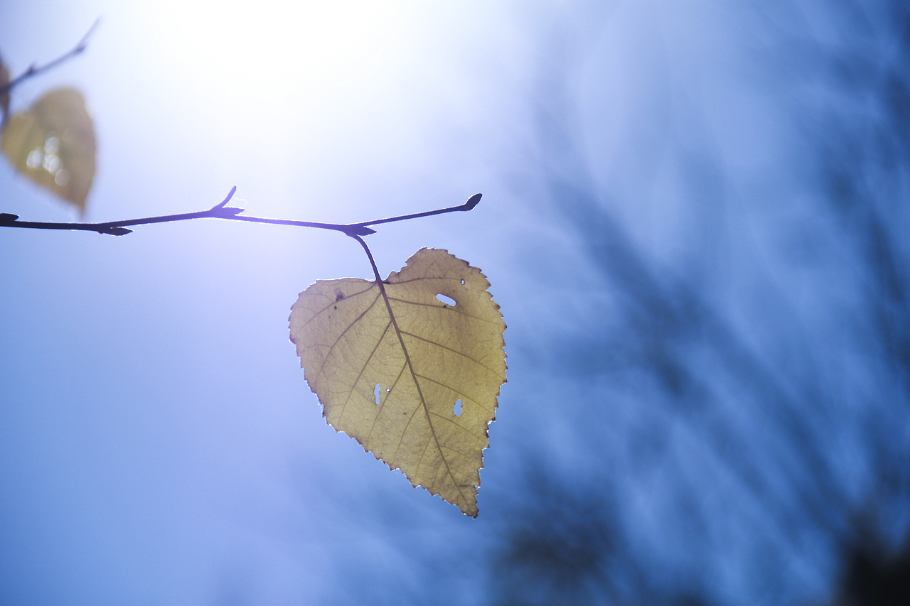哈爾濱北方森林動物園（圖ZNzA5OTA0NDg=） - 風(fēng)光攝影 - 站酷設(shè)計師山山而川上的麥子原創(chuàng)素材 - 站酷ZCOOL