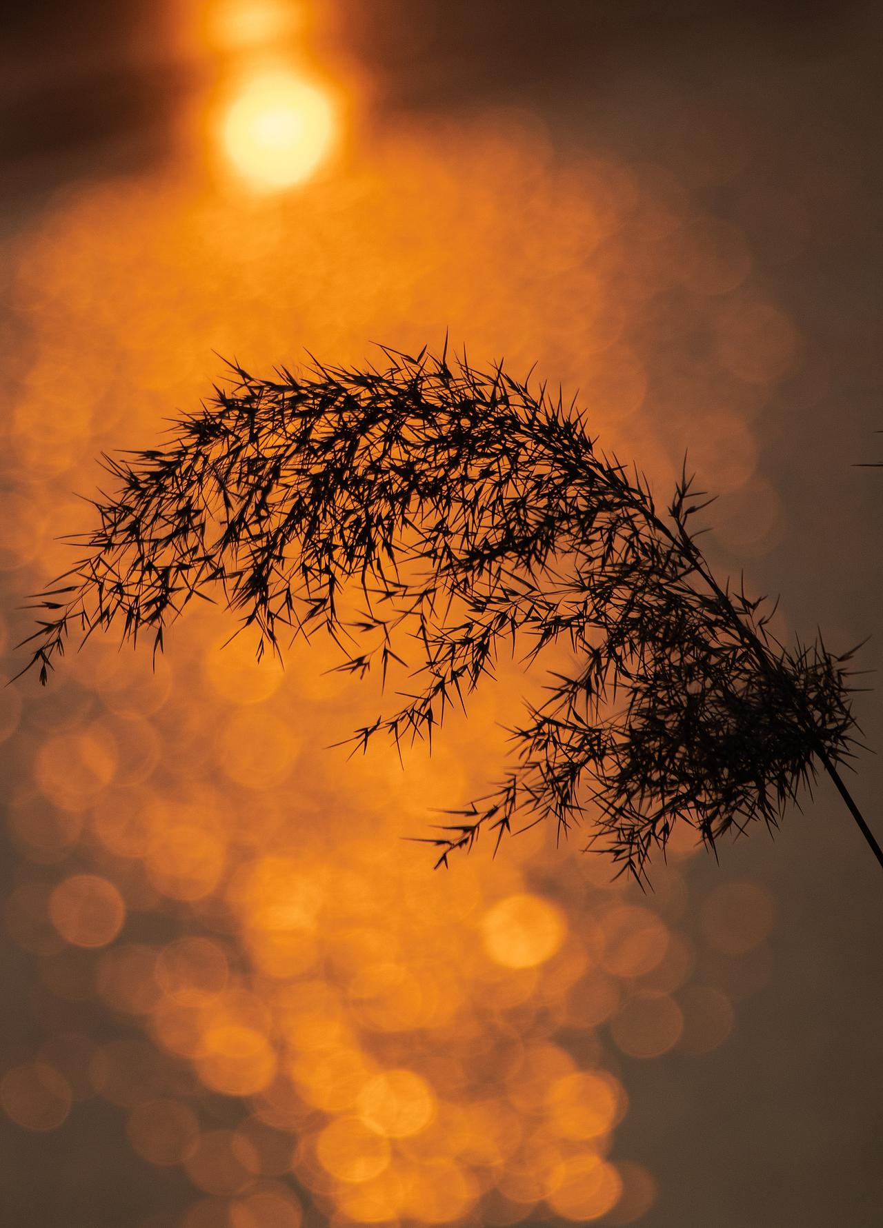 一组夕阳 结束2022（图ZMzI2NzQ5NjY4） - 风光摄影 - 站酷设计师雷十三摄影原创素材 - 站酷ZCOOL