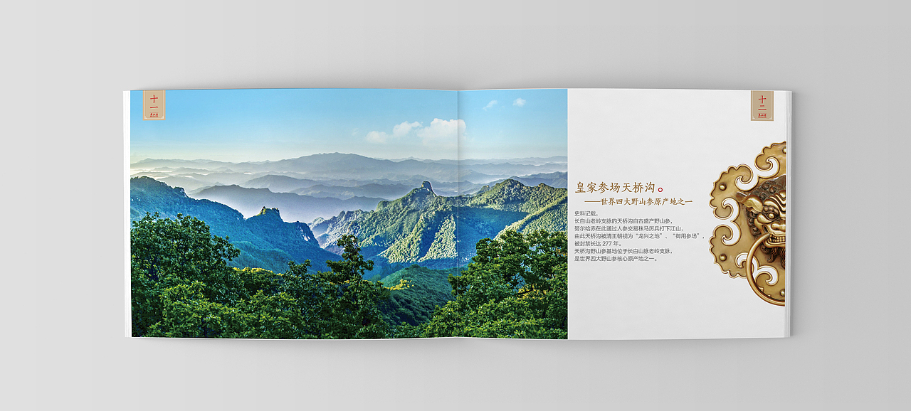 招商画册（图ZMTE5MzY5NzQ0） - 书籍/画册 - 站酷设计师陈小四原创素材 - 站酷ZCOOL
