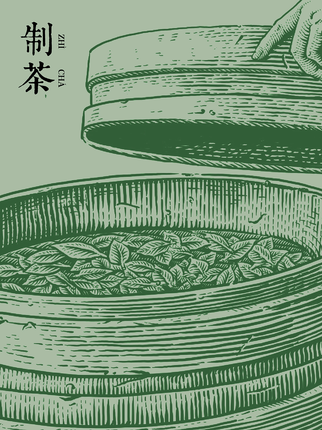 原创插画|制茶