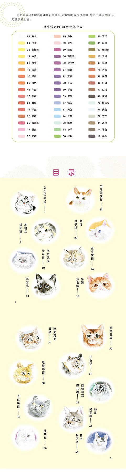 彩色铅笔绘画书--猫猫篇 详情页