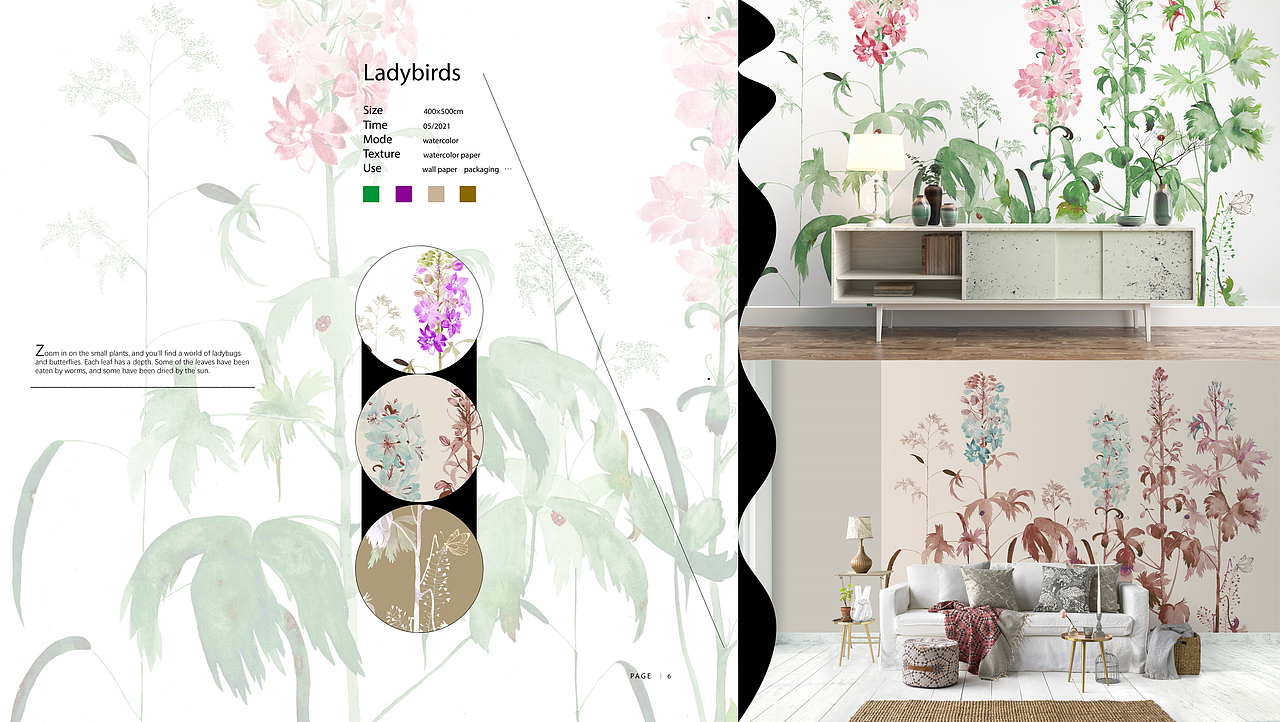 瓢虫与植物ladybirds（图ZMjY0NzYxNzcy） - 商业插画 - 站酷设计师Z43908549原创素材 - 站酷ZCOOL