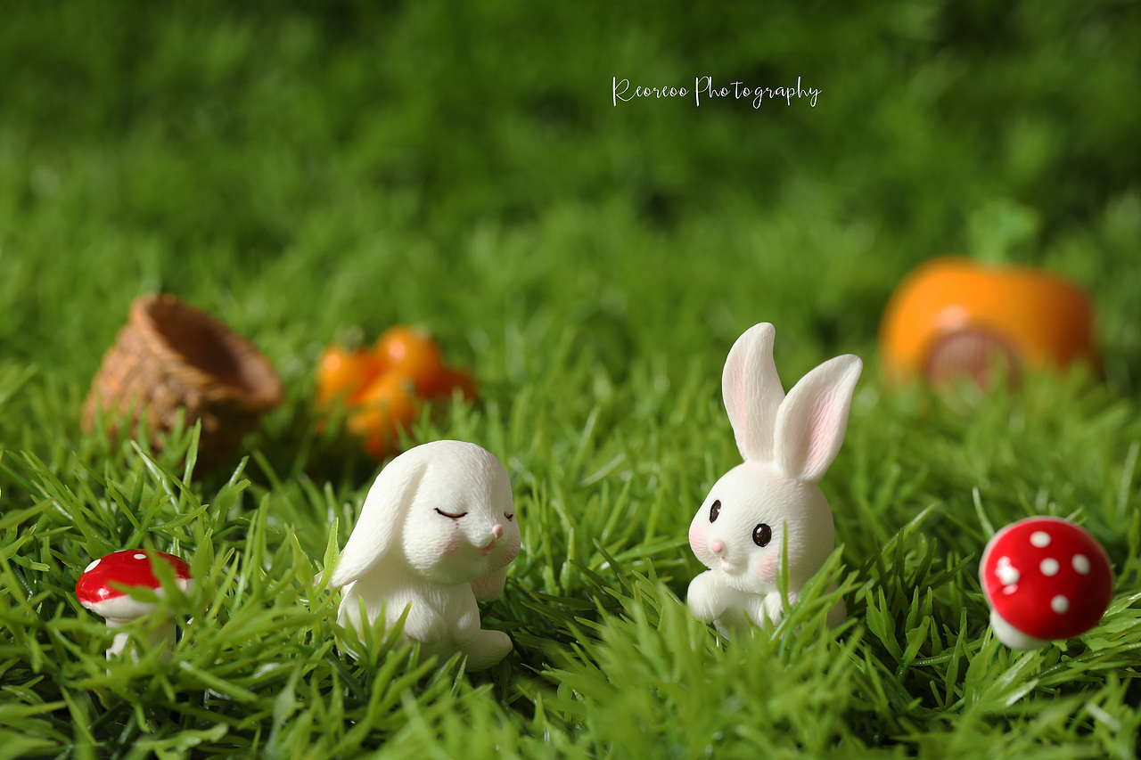 静物摄影 潮玩摄影 摆件摄影 玩具摄影 产品摄影 电商