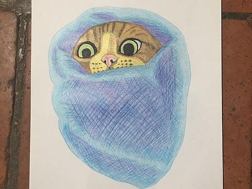 我画的【猫咪】