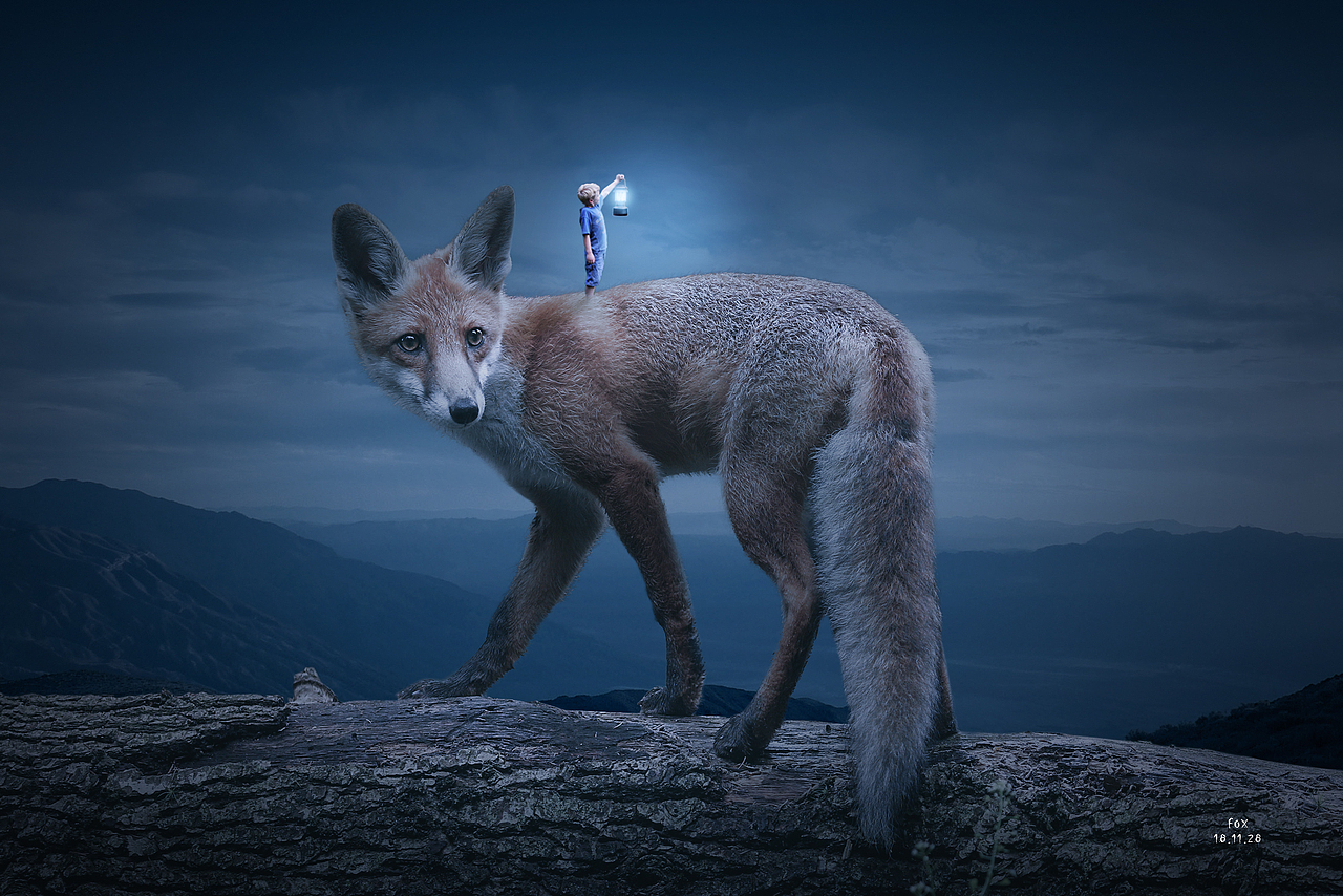 FOX（图ZMTM2ODQyMTA0） - 其他平面 - 站酷设计师GAO29原创素材 - 站酷ZCOOL