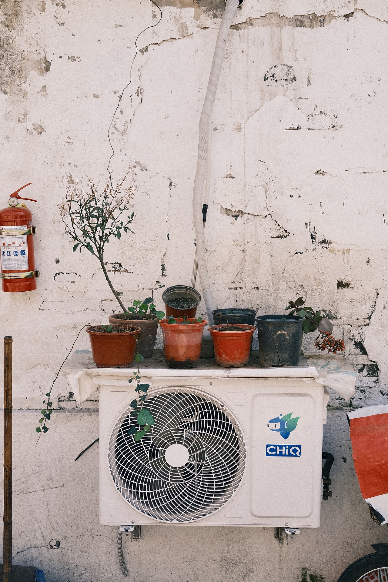 南京的街头小巷