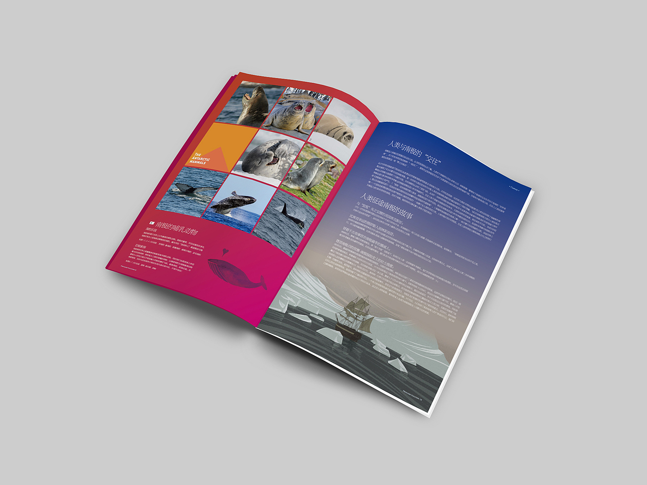 新一期公司跨年内刊