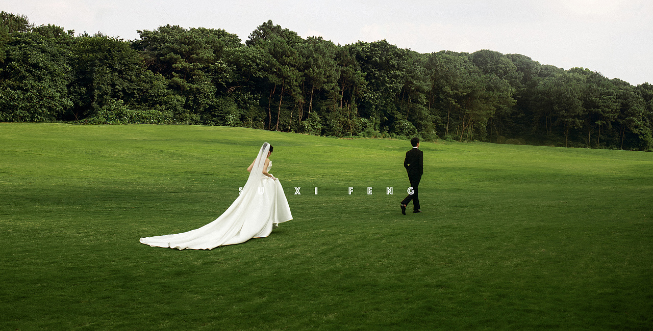 一组草地婚纱