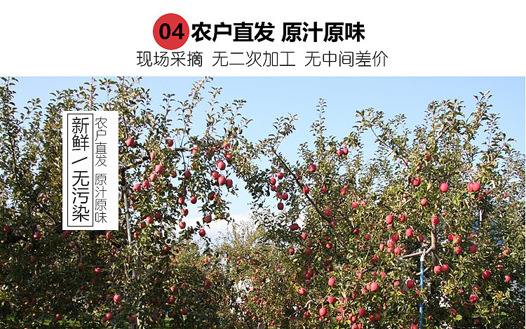 第一次做的淘宝详情页