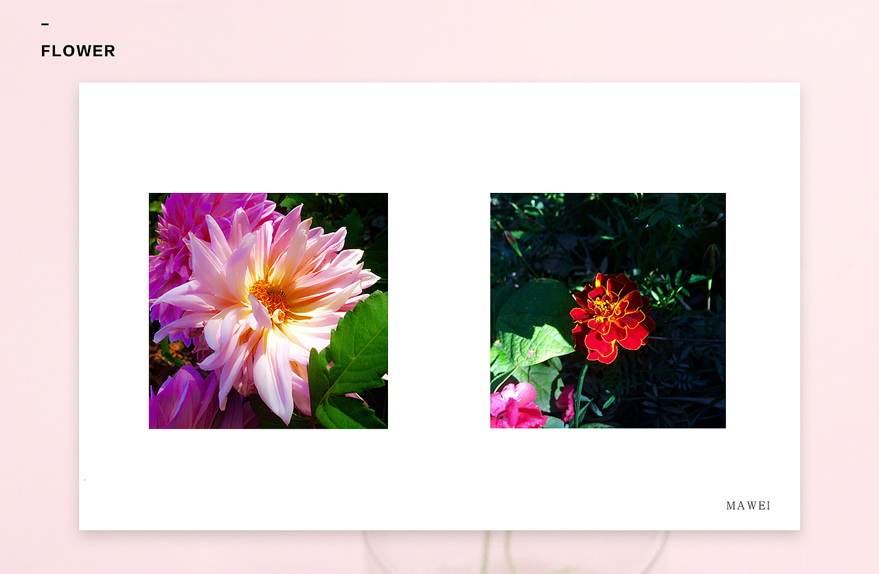 农产品视觉设计（图ZNjAzNDQyMjg=） - 海报 - 站酷设计师你说奔波儿霸原创素材 - 站酷ZCOOL