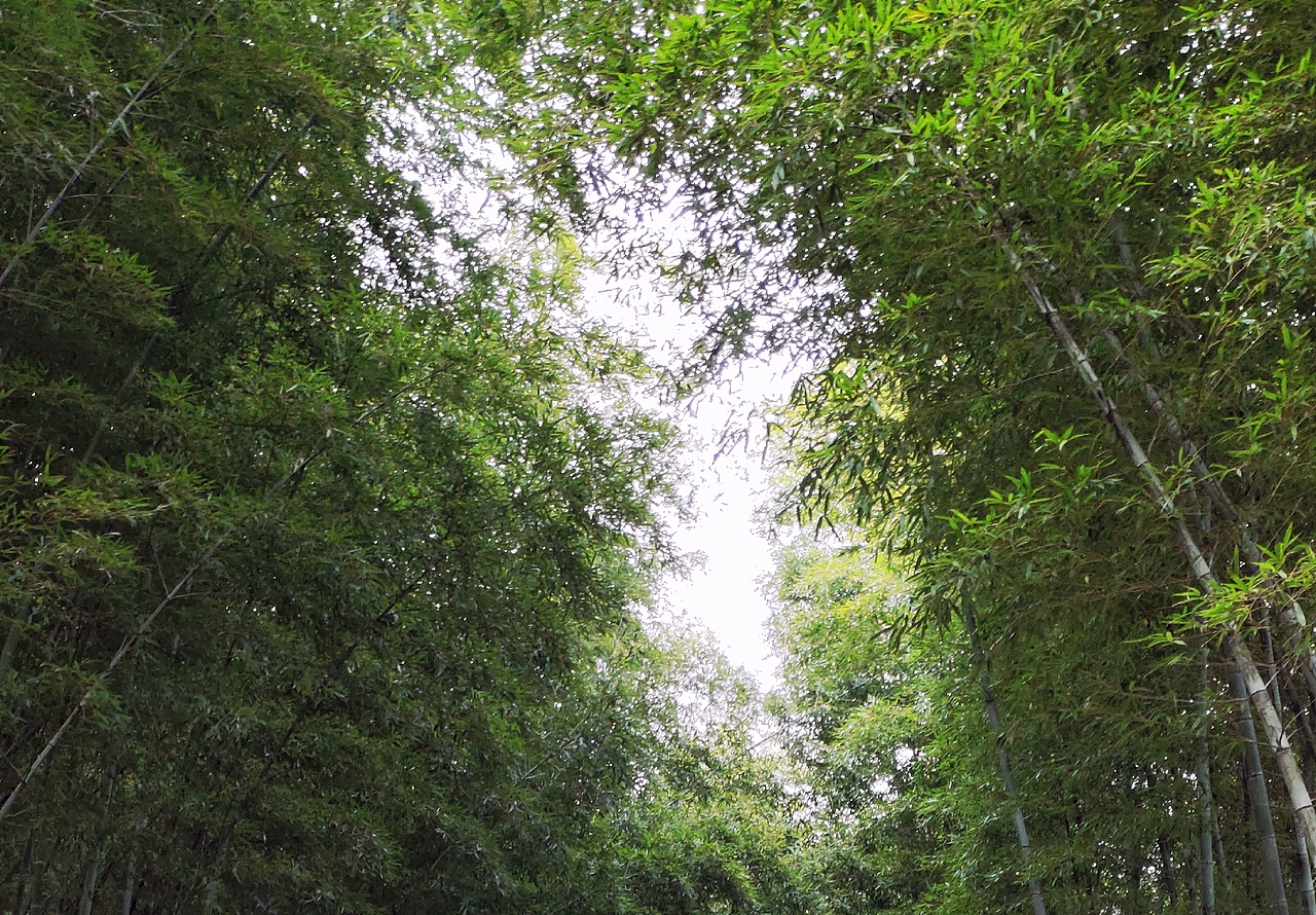 游记（图ZMjQ5NTMzNTY4） - 其他摄影 - 站酷设计师星慕松月原创素材 - 站酷ZCOOL