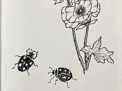 针管笔点绘