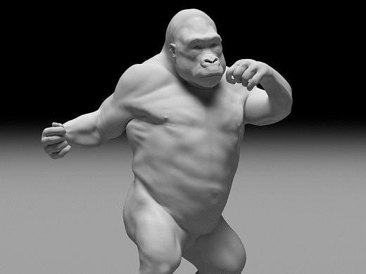 Ziva肌肉模拟 Gorilla