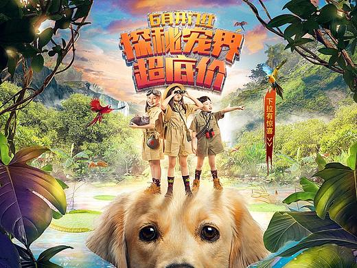 耐威克618项目设计策划分享