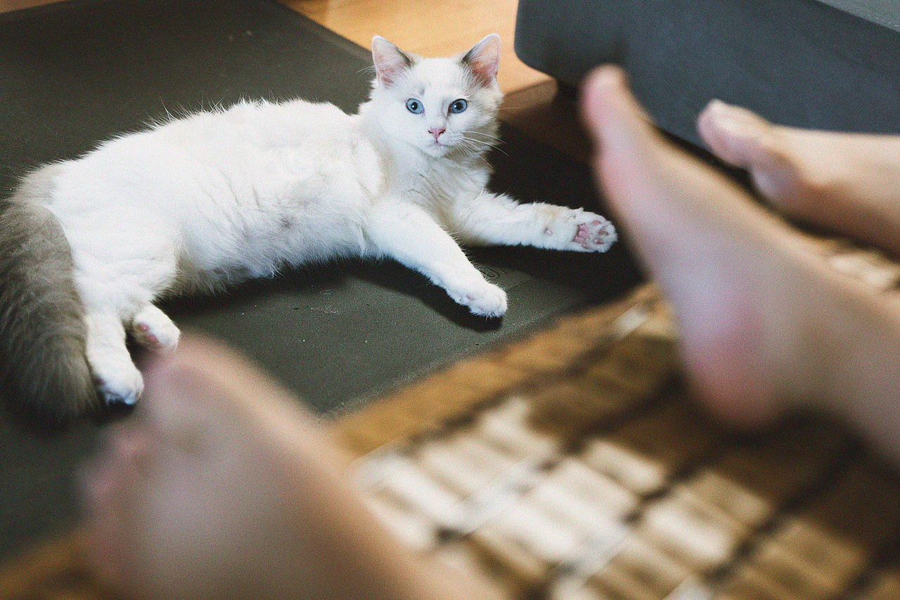 你好，小朋友（图ZMjIwMzYwNDk2） - 人文/纪实摄影 - 站酷设计师诗诗果儿原创素材 - 站酷ZCOOL