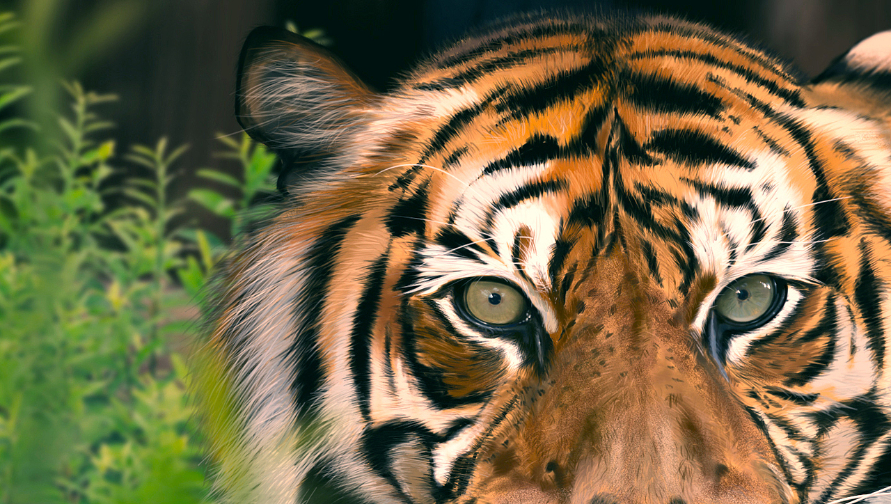 Tiger(图ZMTEyOTIwMDA=) - 创作习作 - 站酷设计师SW伯爵原创素材 - 站酷ZCOOL