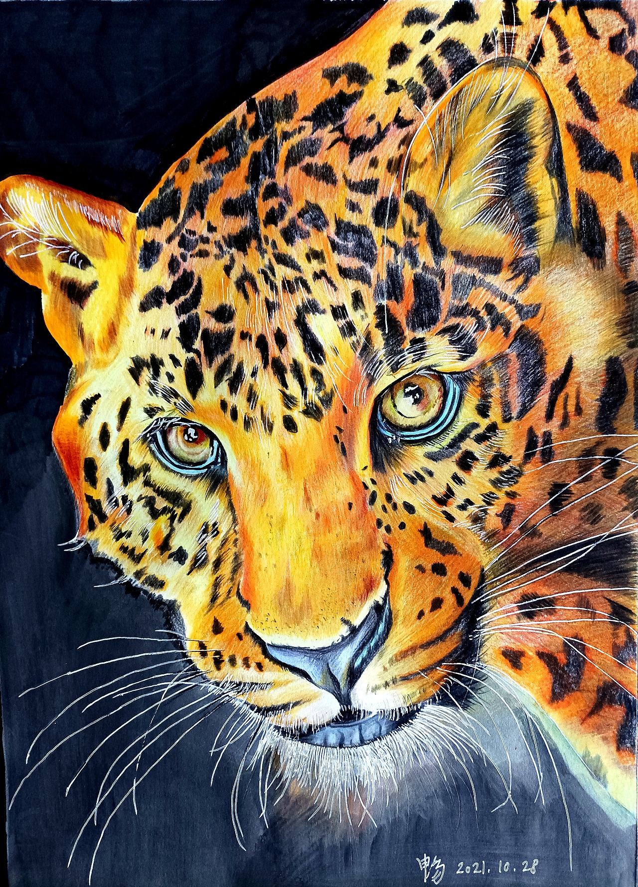 彩铅画临摹|纯艺术||无痕雪漫山_临摹作品-站酷zcool