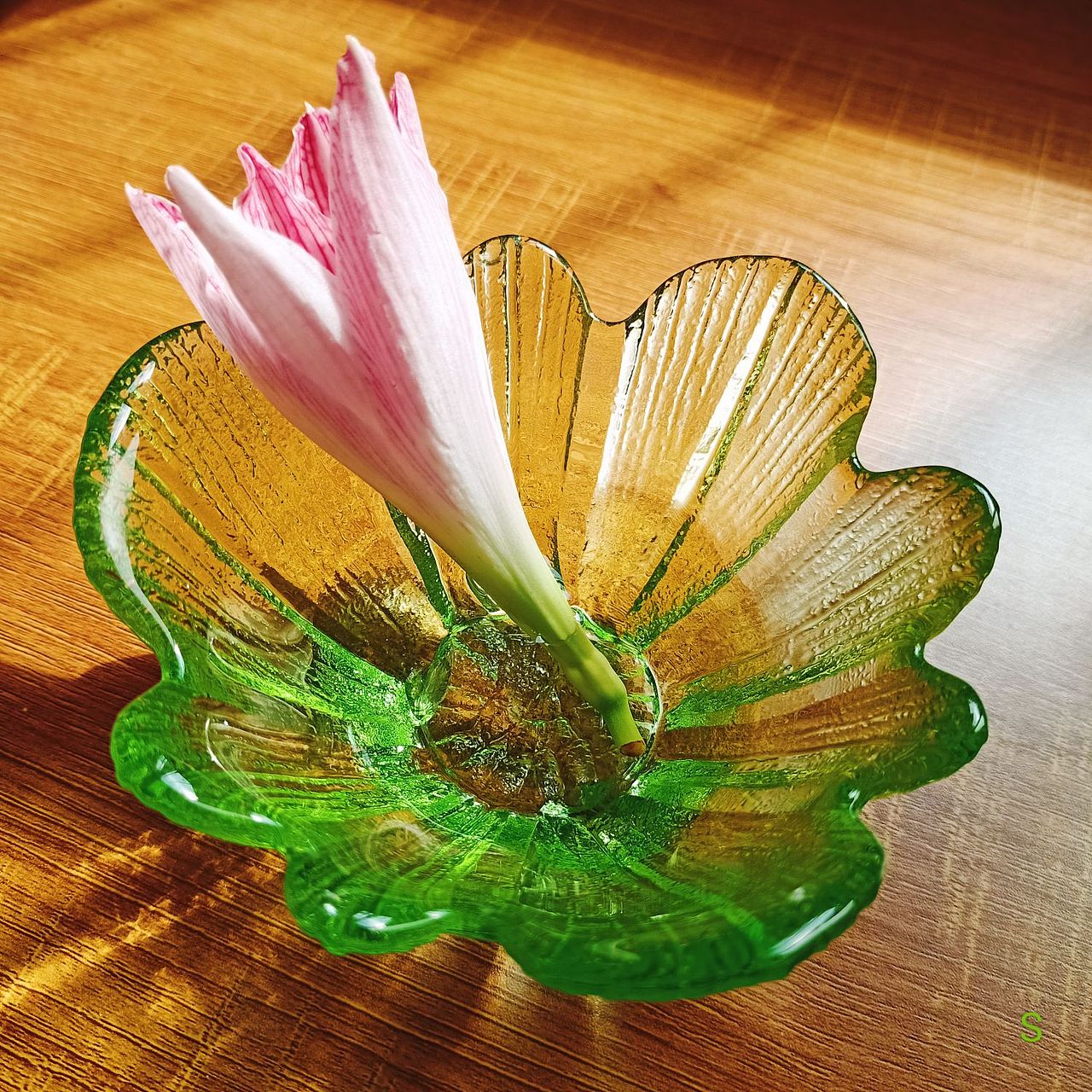 其实“玻璃”挺单纯……
是心在跳动~~<br>而此刻回归~