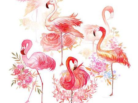 火烈鸟（个人主页-ZNTQ1NDI3NzY=） - 商业插画 - 站酷设计师比比斑原创素材 - 站酷ZCOOL