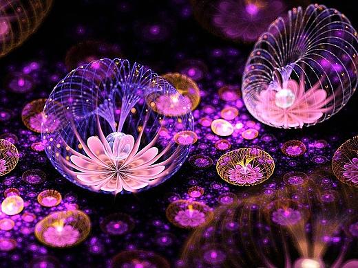 分形(Fractal)第六十六辑