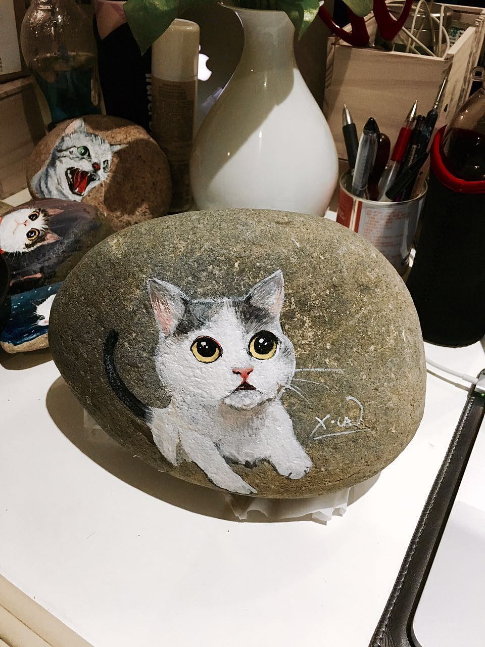 趴在桌子上的猫