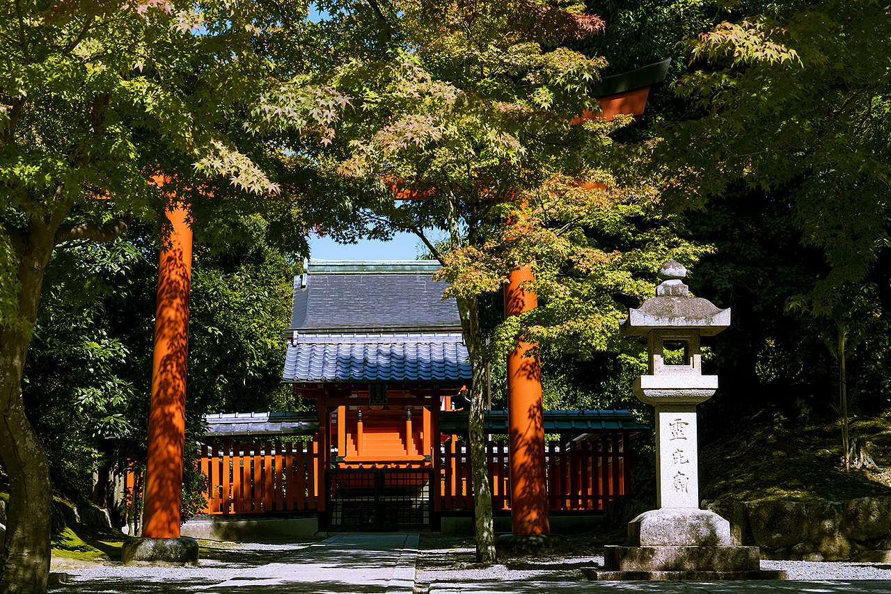 嘘~~~请安静看图别说话