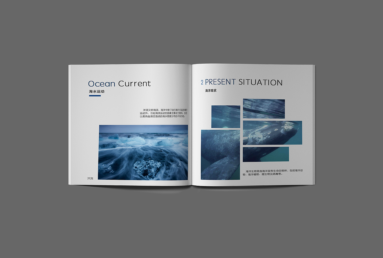 海洋保护宣传册（图ZODc0MzQ5Njg=） - 书籍/画册 - 站酷设计师猫神咕咕原创素材 - 站酷ZCOOL
