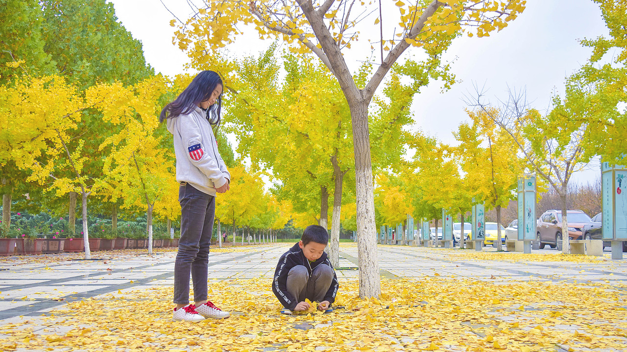 siSter 、brOther and银杏树（图ZOTU1ODQxNjA=） - 人像摄影 - 站酷设计师苏锦锦原创素材 - 站酷ZCOOL