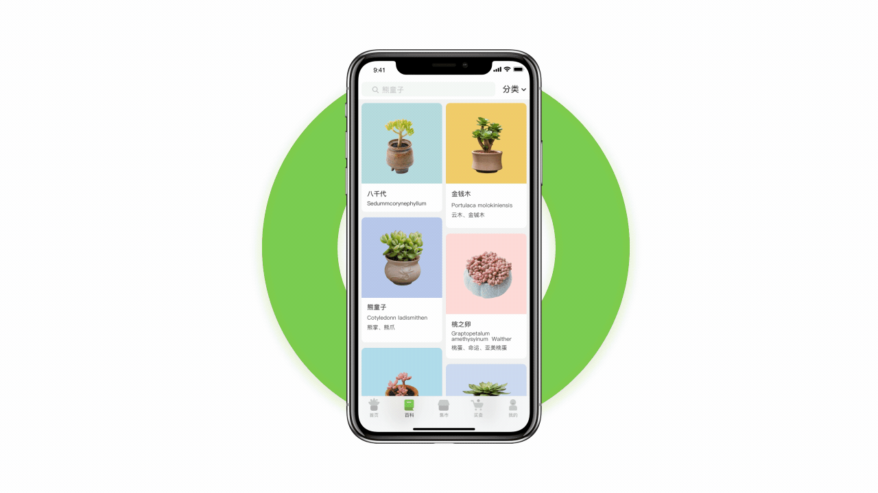 多肉植物app重设计
