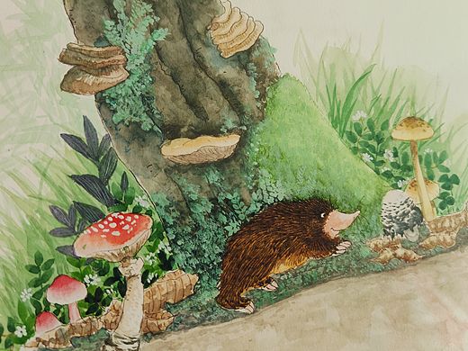 趣味植物科普插画