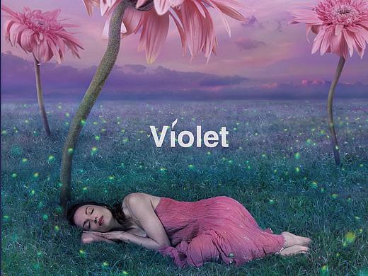 紫罗兰 床垫系列画册