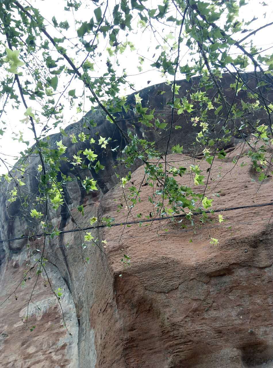 【冲天牛】11.15股市资讯