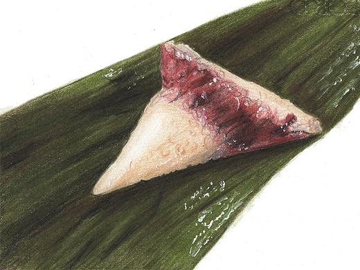 【驴大萌彩铅教程352】端午节 豆沙粽子