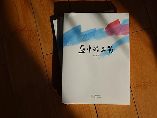 《画中的三笔》艺术画册封面设计