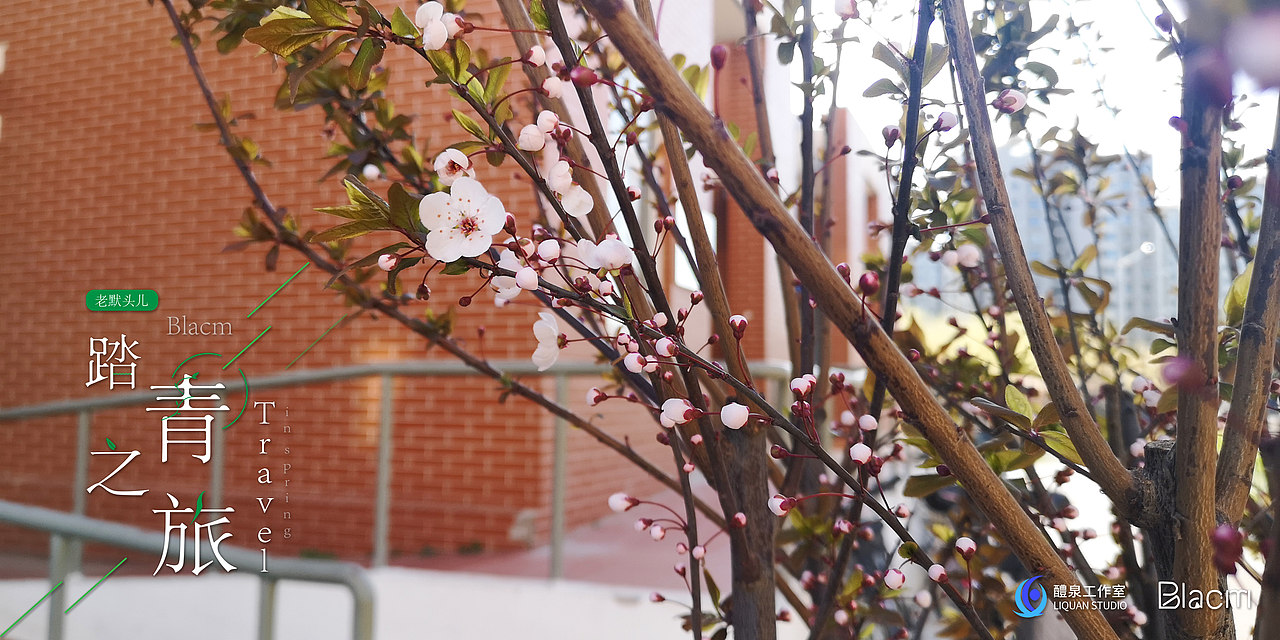 Blacm的踏春之旅（图ZMjA0NTIyMjgw） - 风光摄影 - 站酷设计师Blacm原创素材 - 站酷ZCOOL