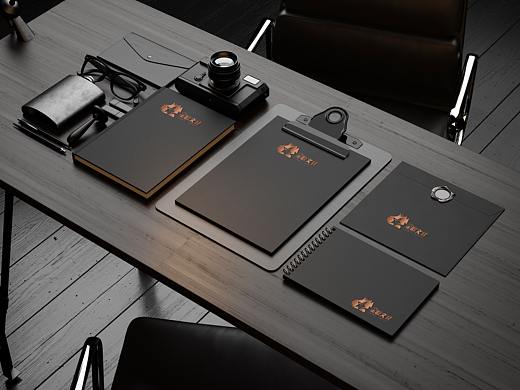 星源文化高端黑色风格VIS