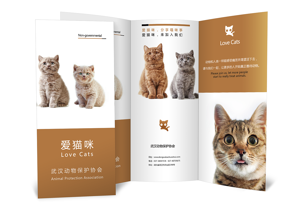 三折页展示（图ZOTI1MTQ5MDg=） - 宣传物料 - 站酷设计师sozozo原创素材 - 站酷ZCOOL