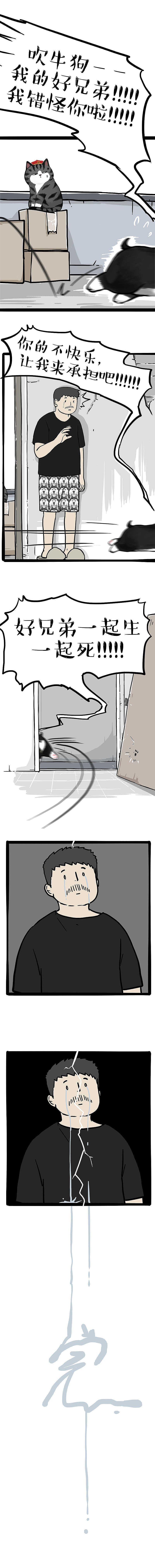 真假牛能(大结局)——这苦衷不苦,还让我很酸