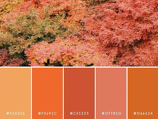 大自然的颜色搭配，转需收藏！