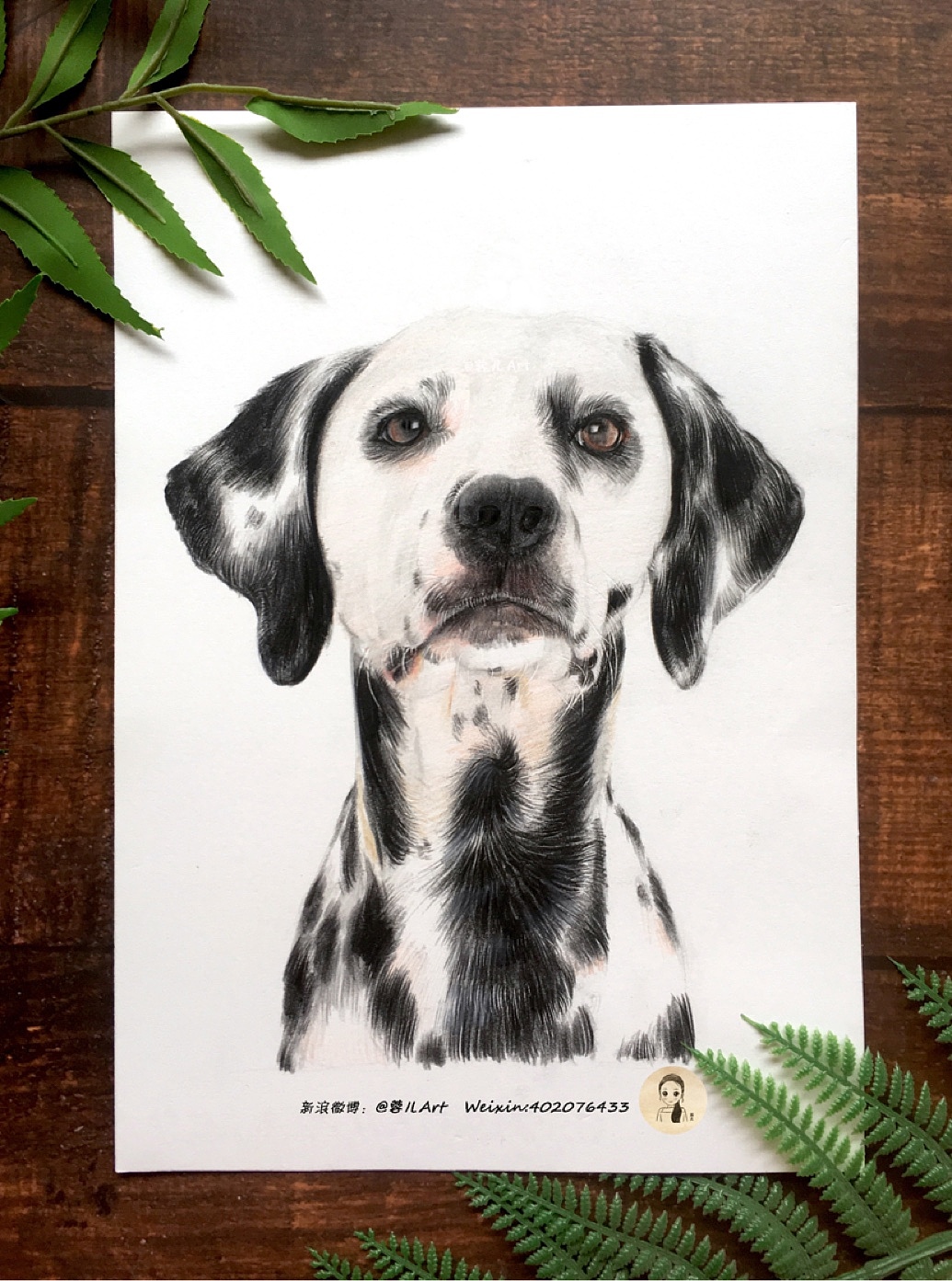 斑点狗彩铅动物
