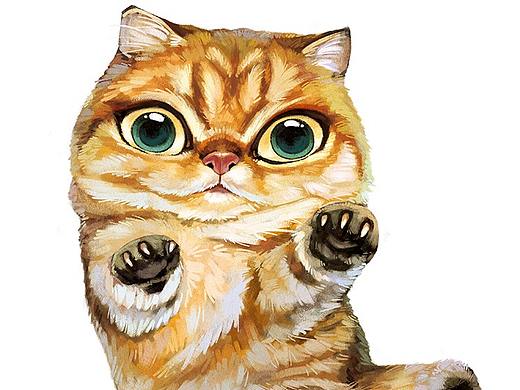 发怒猫