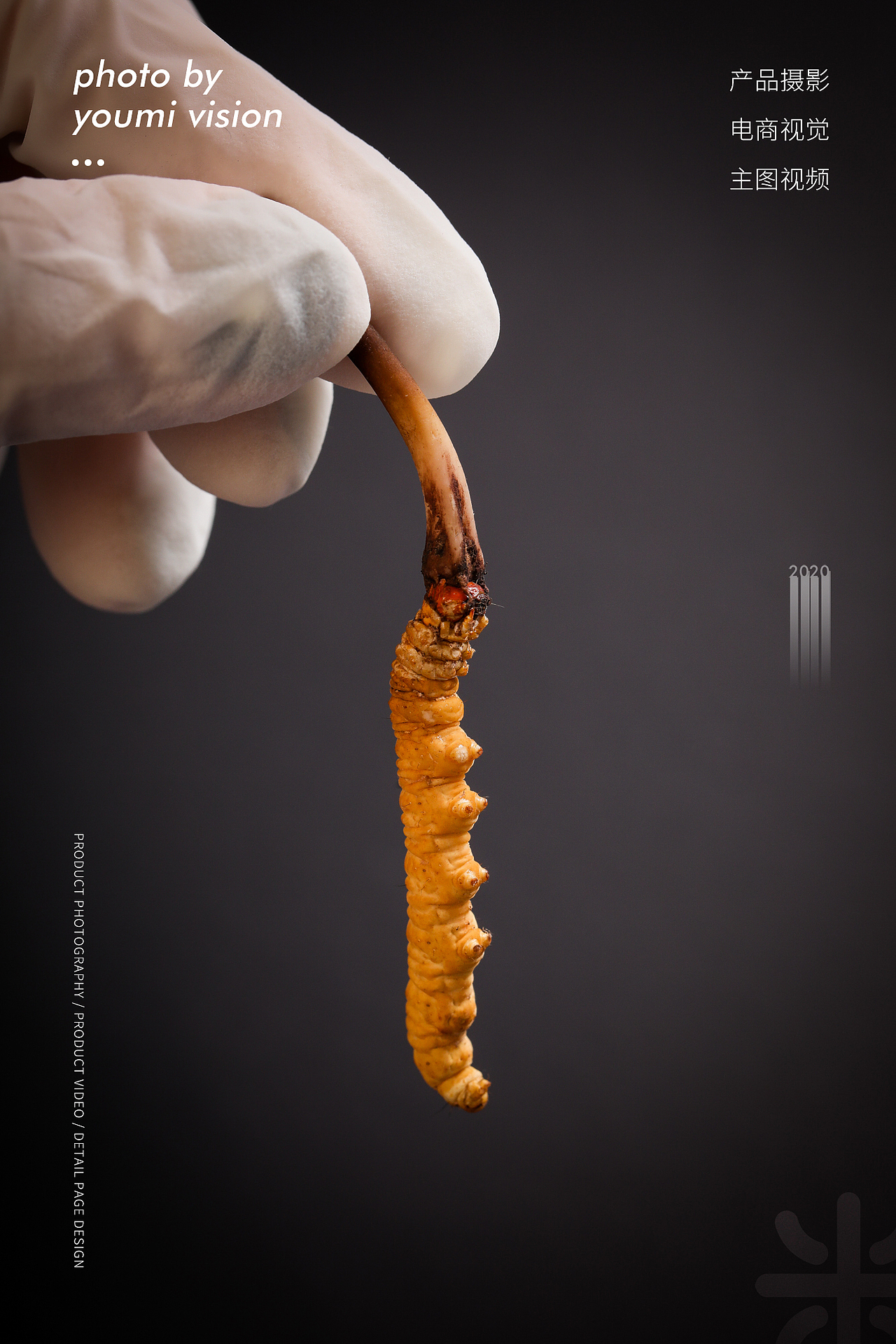一组鲜虫草产品拍摄（图ZMjA0NDg4NzY0） - 产品摄影 - 站酷设计师一玖视觉原创素材 - 站酷ZCOOL