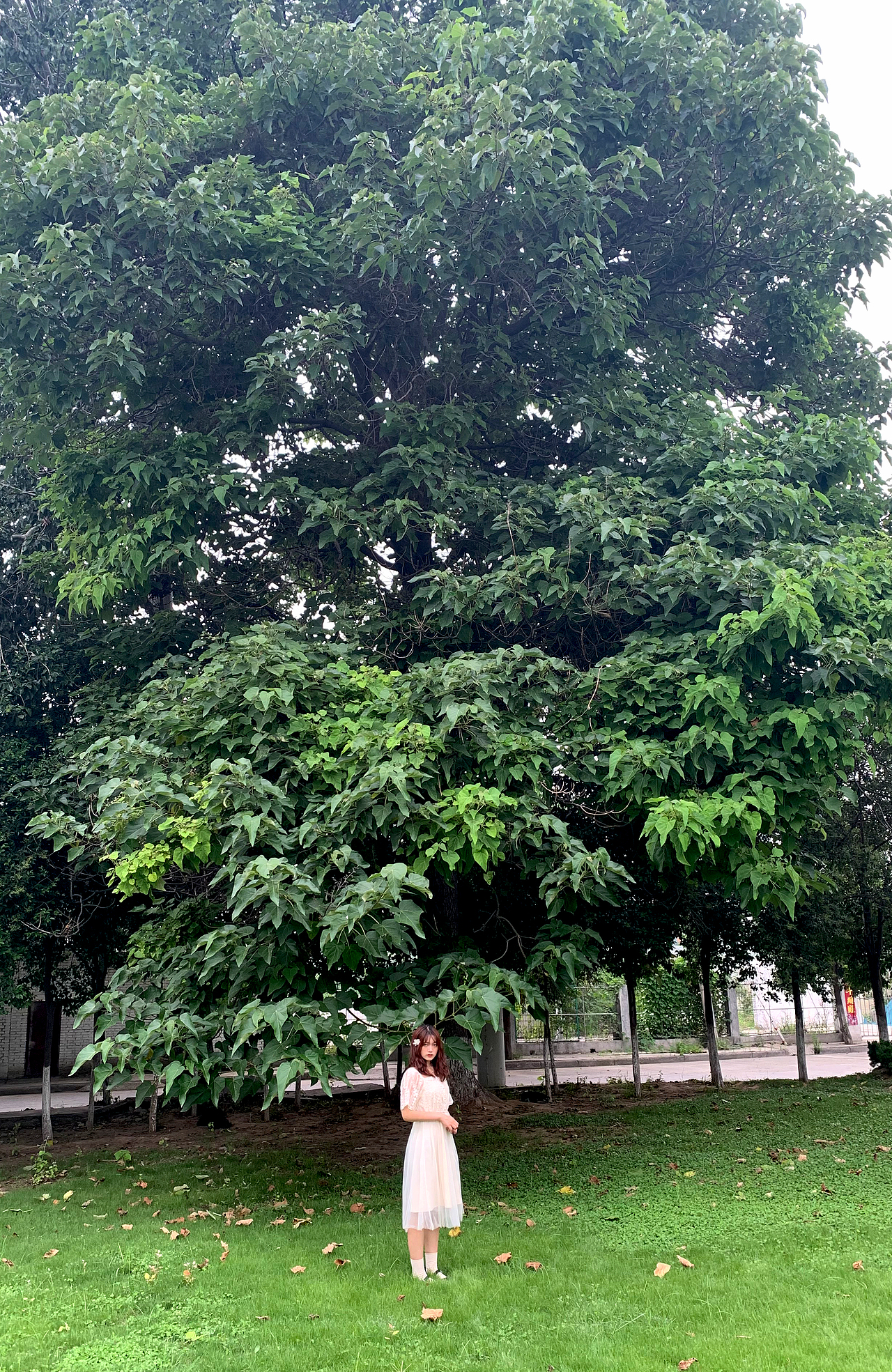 往心里装一片大海和花海，再多装一点少女心和爱。（图ZMjE3NDU3OTQ4） - 人像摄影 - 站酷设计师我是麻酱啊原创素材 - 站酷ZCOOL