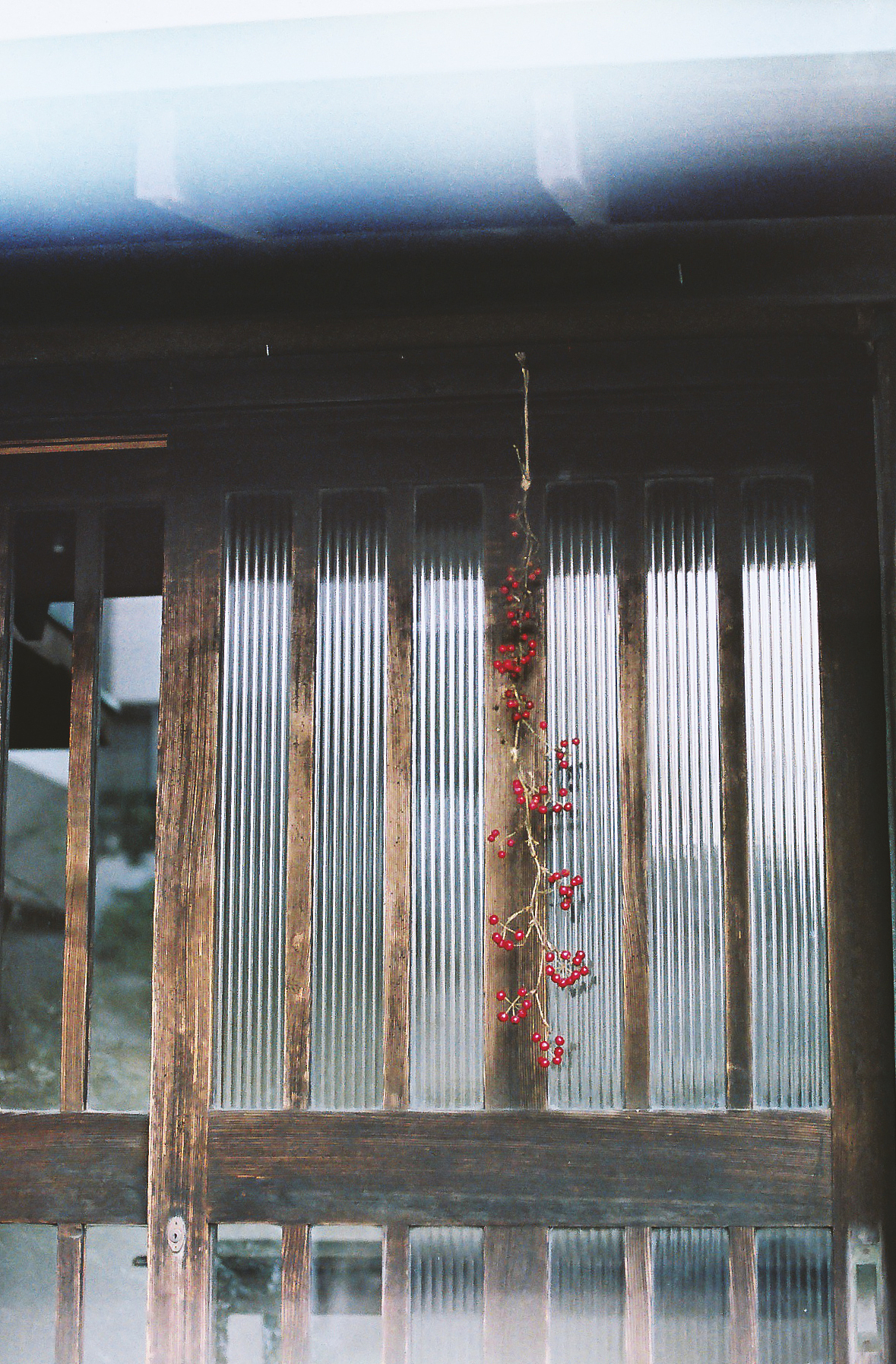 午后漫步(东京)